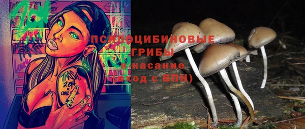 a pvp Михайлов