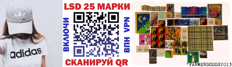 Купить закладки  Ардатов  Наркотические марки 1,5мг 